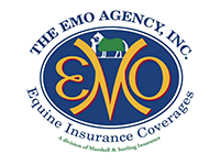 EMO Agency. 